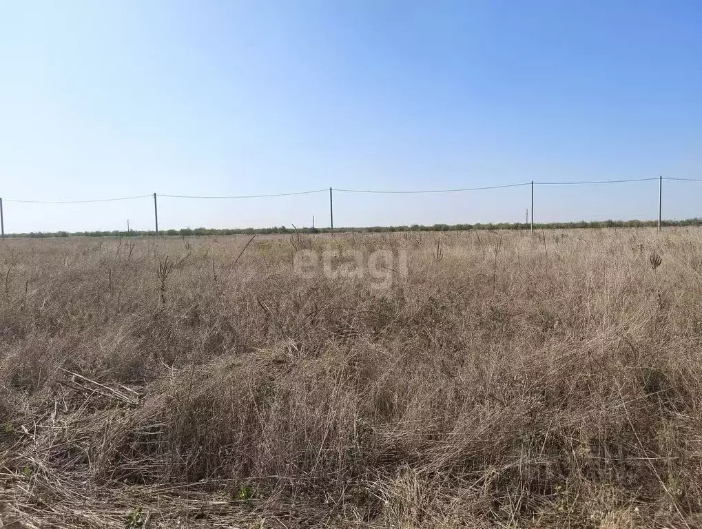 Участок в Краснодарский край, Ейск Виктория СТ,  (10.0 сот.) - Фото 0