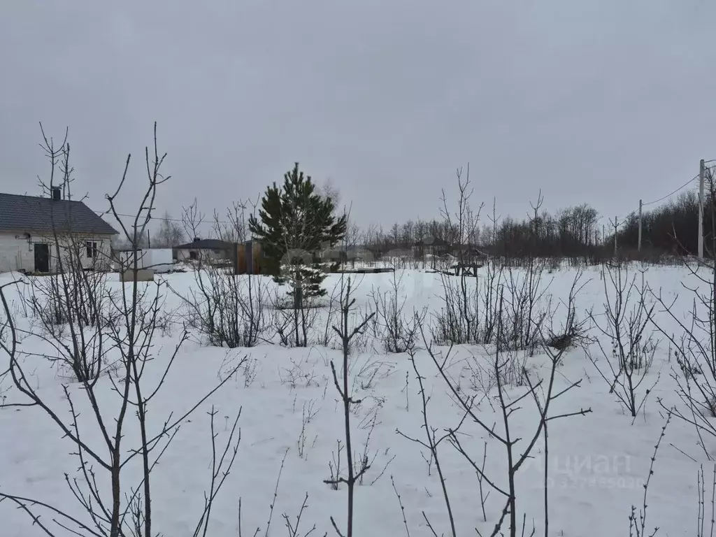 Участок в Воронежская область, Борисоглебск ул. Придорожная, 15 (6.43 ... - Фото 2