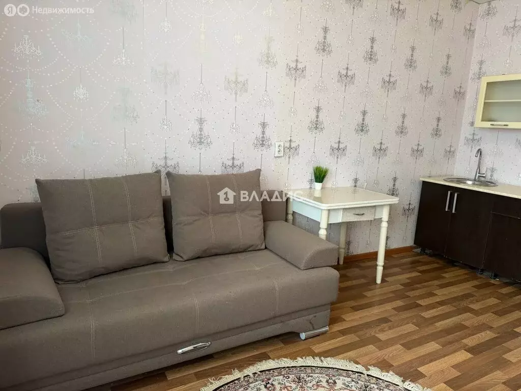 Квартира-студия: село Засечное, Светлая улица, 9 (28 м) - Фото 2