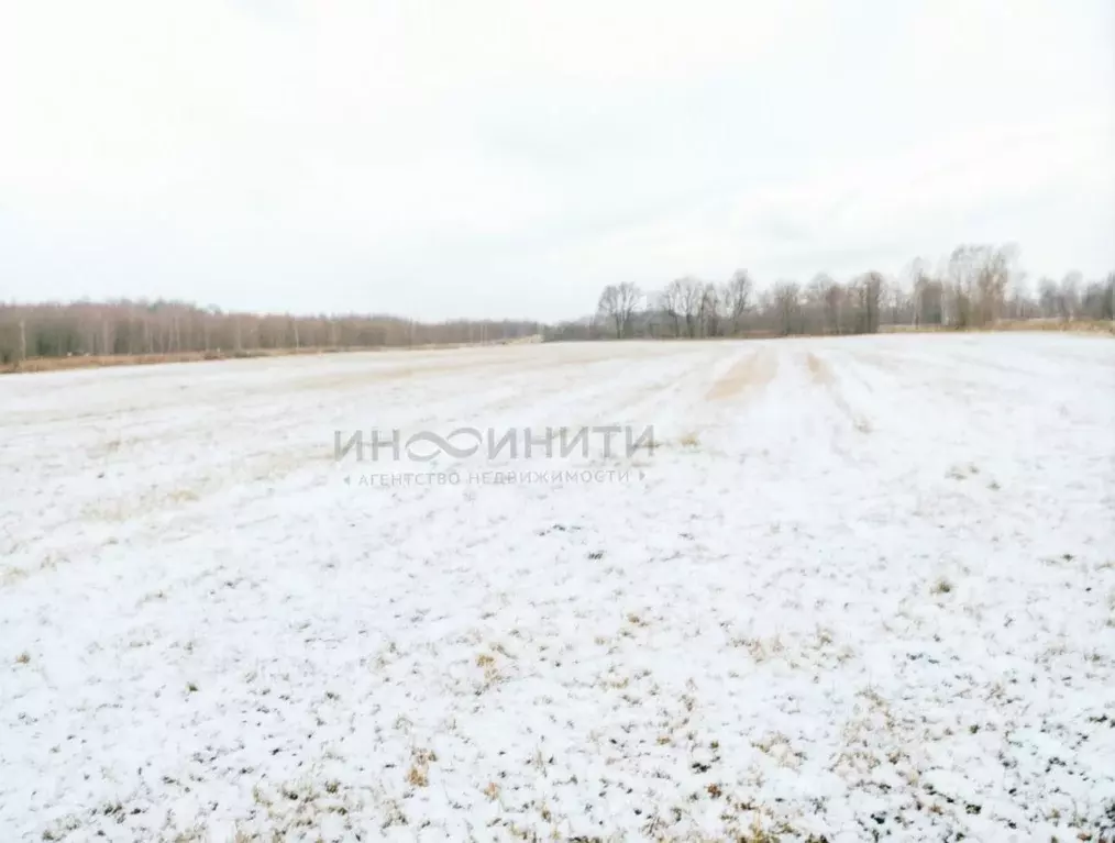 Участок в Московская область, Раменский муниципальный округ, д. ... - Фото 2