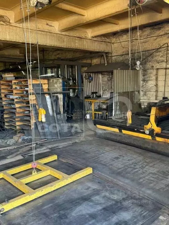 Производственное помещение в Воронежская область, Бутурлиновка ул. ... - Фото 1