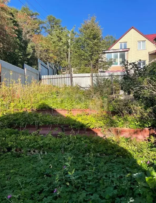 Участок в Сахалинская область, Южно-Сахалинск Вишневый сад СНТ, 19 ... - Фото 1