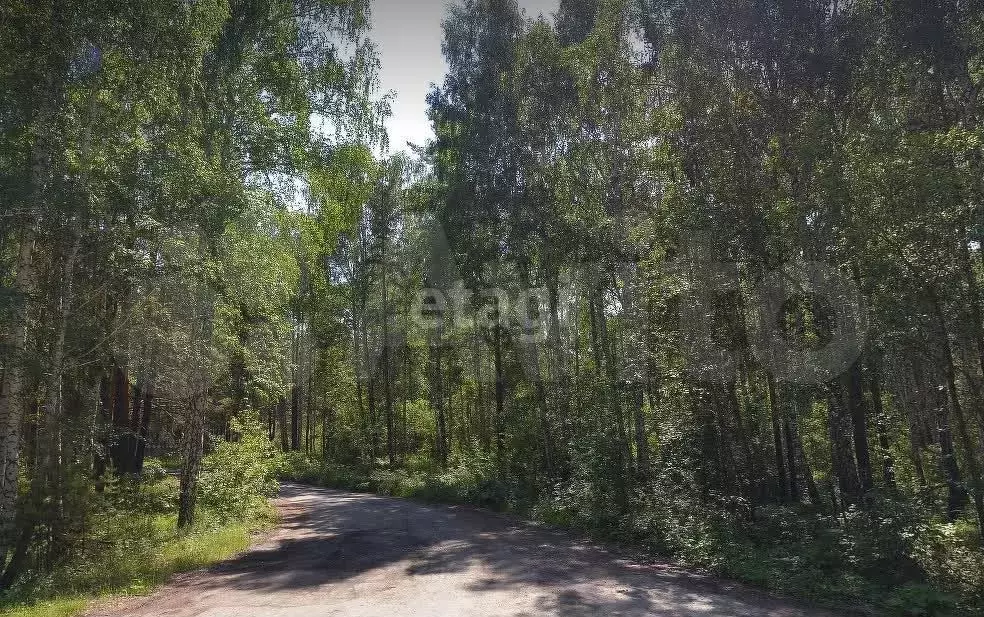 Участок 10,2 сот. (СНТ, ДНП) - Фото 1