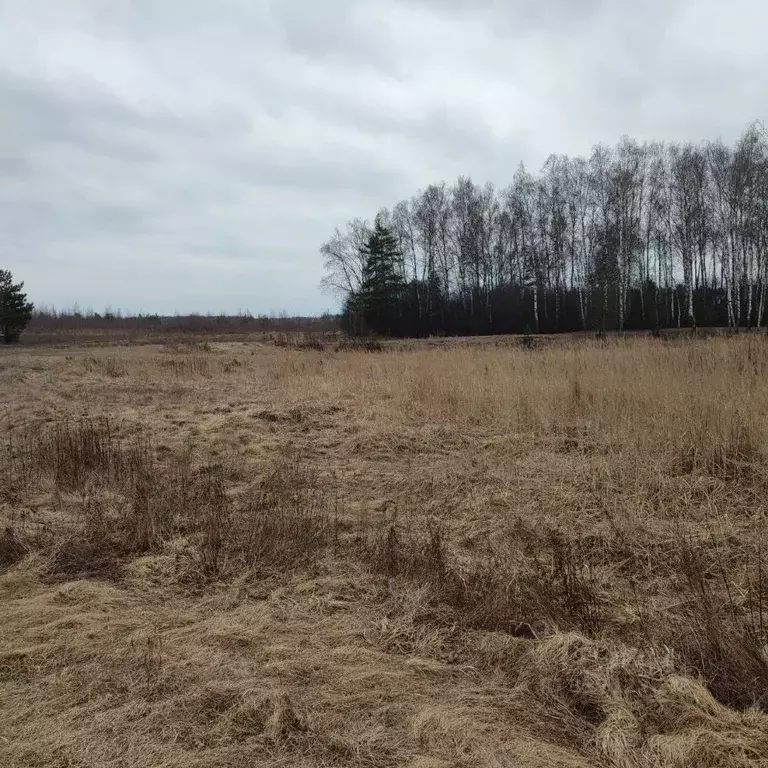 Участок в Московская область, Павлово-Посадский городской округ, с. ... - Фото 0