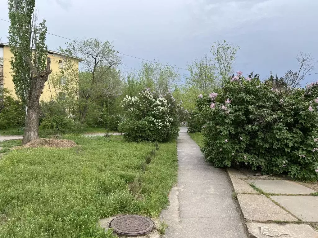 Офис в Волгоградская область, Волжский Молодежная ул., 3 (270 м) - Фото 1