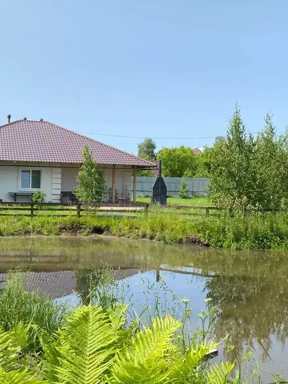 Дом в Самарская область, Красноярский район, с. Старая Бинарадка ... - Фото 0