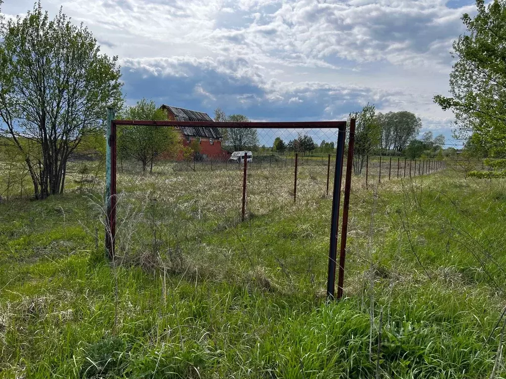 Участок в Калужская область, Дзержинский муниципальный округ, Рудня ... - Фото 1