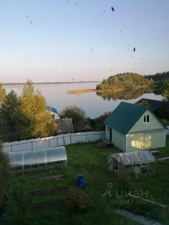 Коттедж в Новгородская область, Демянский муниципальный округ, д. ... - Фото 0