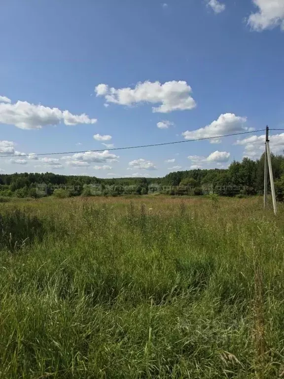 Участок в Марий Эл, Волжский район, Большепаратское с/пос, д. ... - Фото 0