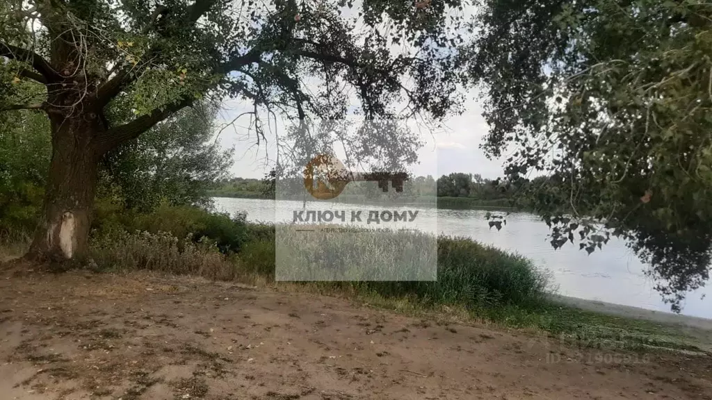 Участок в Ростовская область, Багаевский район, Манычское с/пос, ... - Фото 1