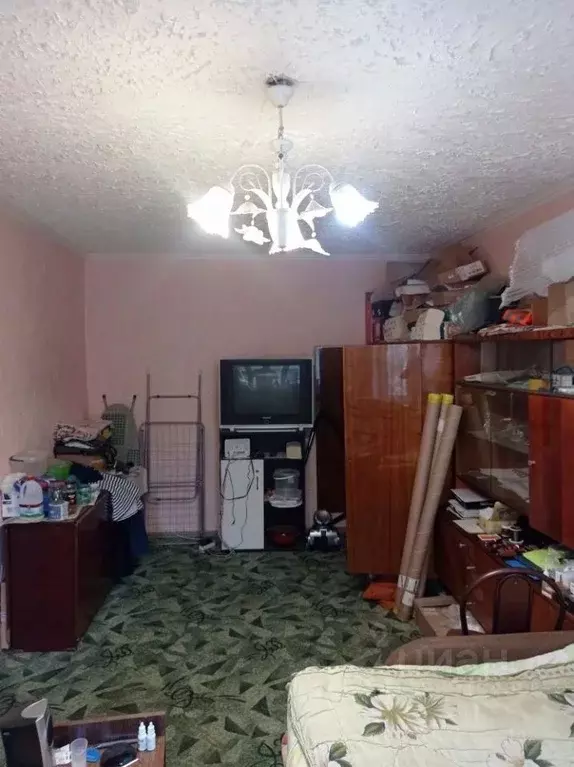 1-к кв. Московская область, Ногинск Богородский городской округ, ул. ... - Фото 2