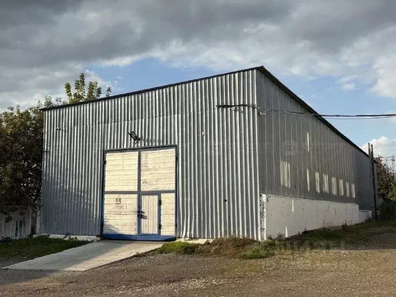 Помещение свободного назначения в Татарстан, с. Пестрецы ул. ... - Фото 1