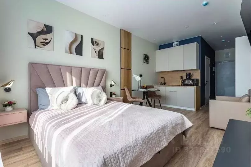 1-к кв. Санкт-Петербург просп. Энергетиков, 8к2 (26.0 м) - Фото 2