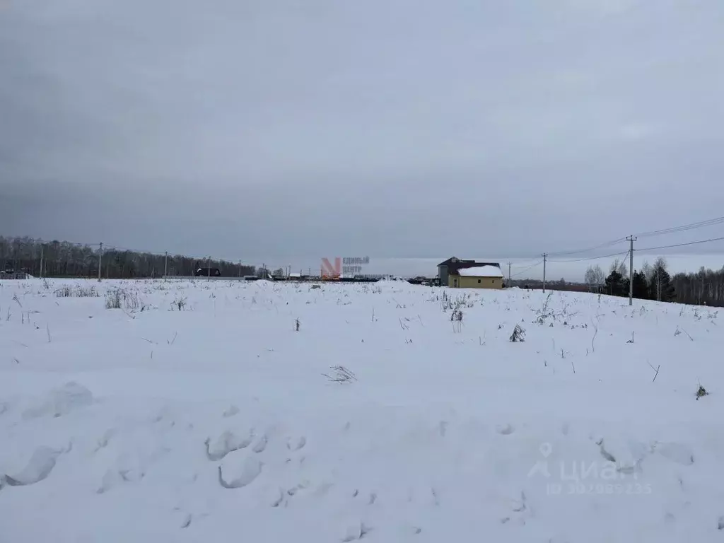 участок в тюменская область, тюменский район, с. чикча (7.0 сот.) - Фото 1