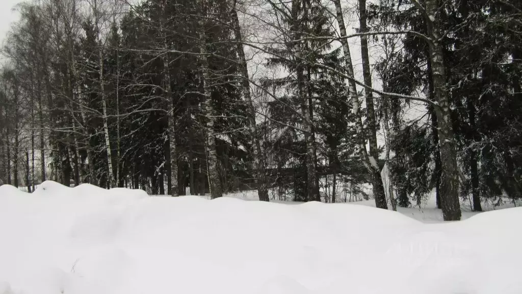 Участок в Московская область, Рузский муниципальный округ, д. ... - Фото 2