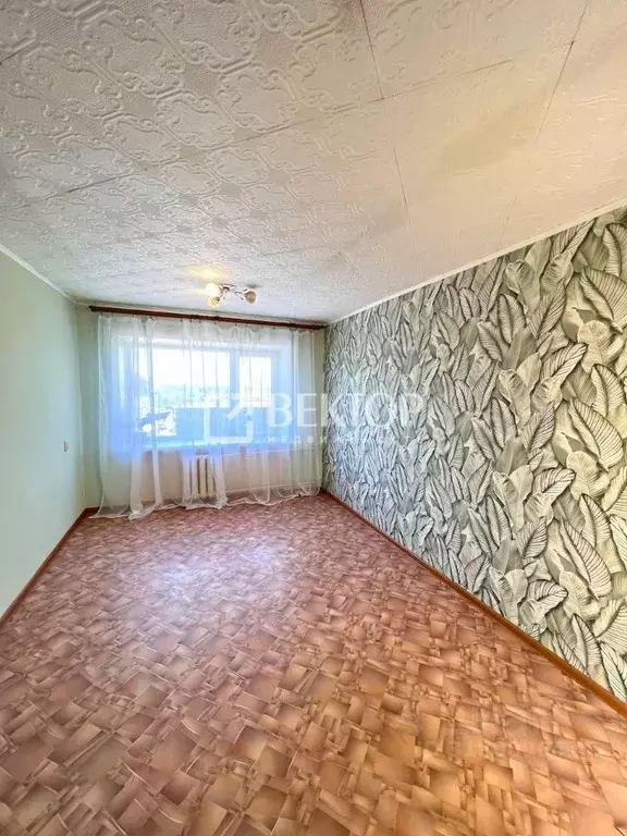 Студия Костромская область, Кострома Кинешемское ш., 15 (17.2 м) - Фото 0