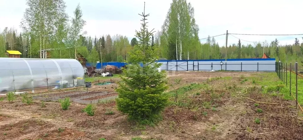 Участок в Ханты-Мансийский АО, Ханты-Мансийск Здоровье СОТ,  (10.0 ... - Фото 1