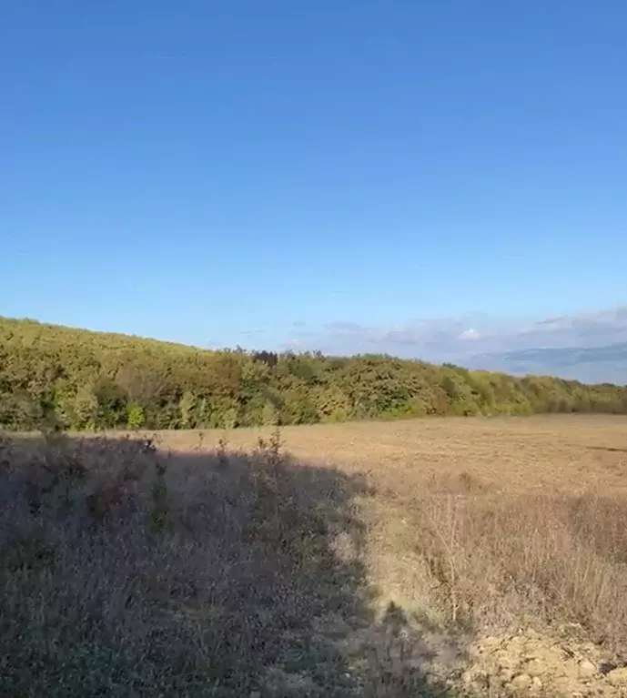 Участок в Севастополь с. Орлиное, пер. Западный, 12 (200.0 сот.) - Фото 2
