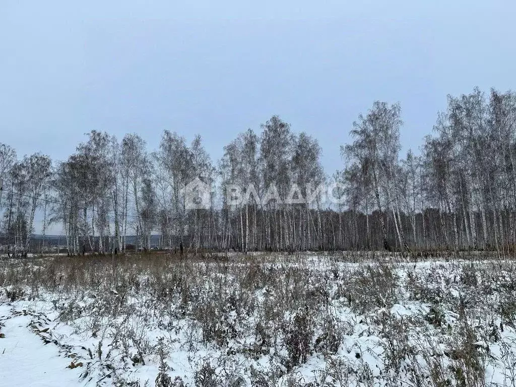 Участок в Челябинская область, Сосновский район, Кременкульское с/пос, ... - Фото 1