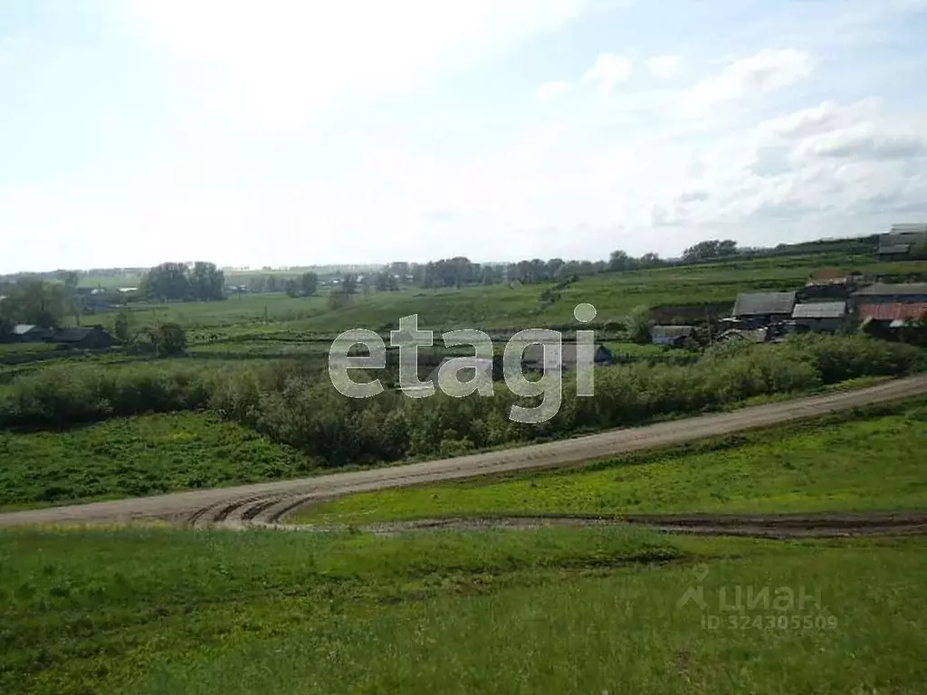 Участок в Башкортостан, Аургазинский район, Новокальчировский ... - Фото 1