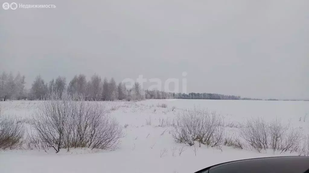 Участок в Курганская область, Шадринский муниципальный округ, село ... - Фото 2