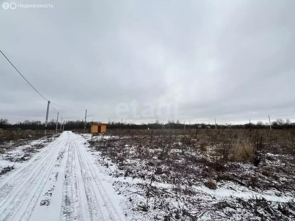 Участок в Вологда, деревня Баранково (8.8 м) - Фото 0