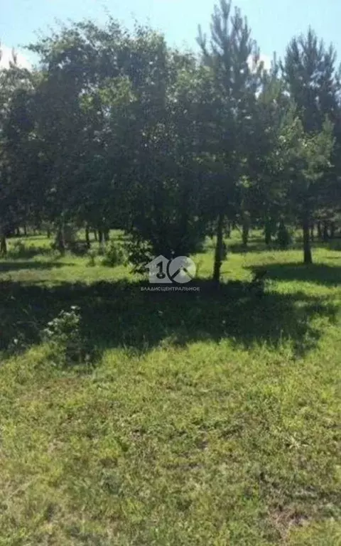 Участок в Алтай, Чемальский район, с. Анос  (15.63 сот.) - Фото 1