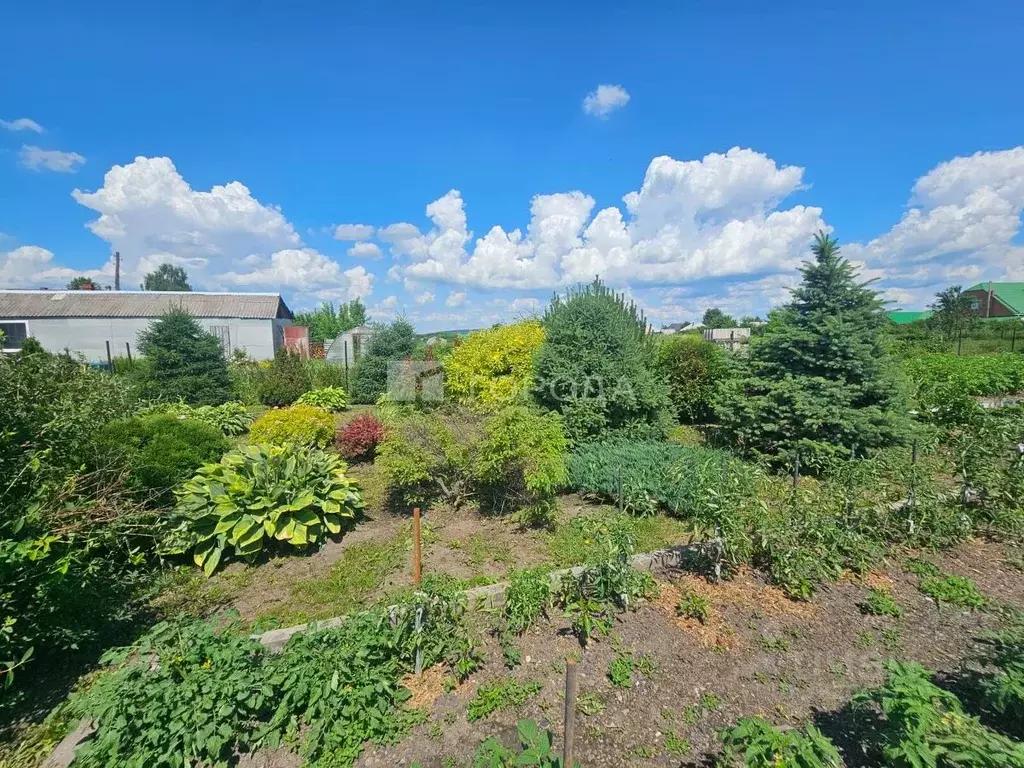 Участок в Кемеровская область, Новокузнецкий муниципальный округ, с. ... - Фото 1