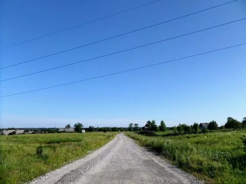 Участок в Самарская область, Елховский район, д. Булькуновка  (13.0 ... - Фото 1