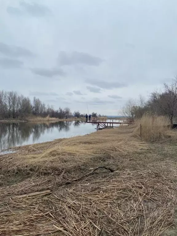 Участок в Ростовская область, Азовский район, Рогожкинское с/пос, ... - Фото 0