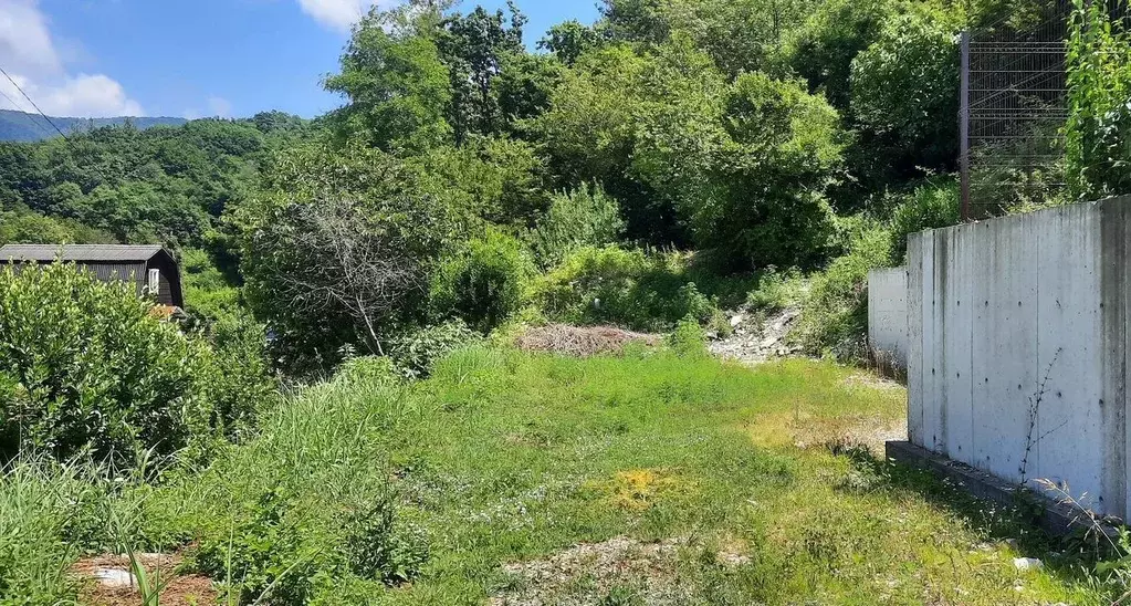 Участок в Краснодарский край, Сочи Лазаревское жилрайон,  (3.0 сот.) - Фото 2