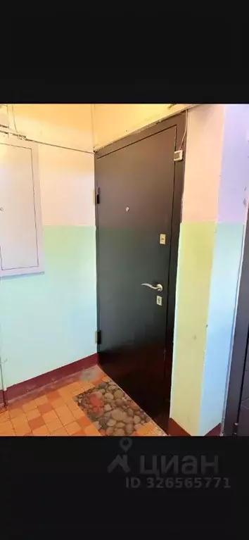 2-к кв. Московская область, Видное Строительная ул., 11 (45.0 м) - Фото 2