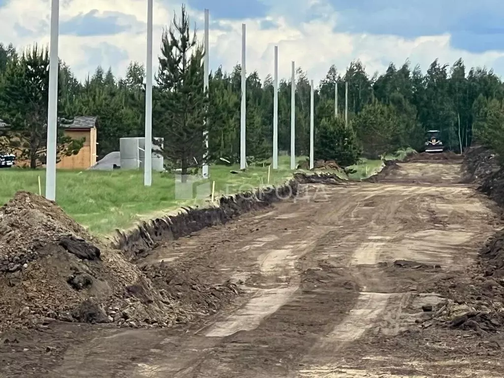 Участок в Алтайский край, Первомайский район, с. Фирсово, Рощино мкр  ... - Фото 2
