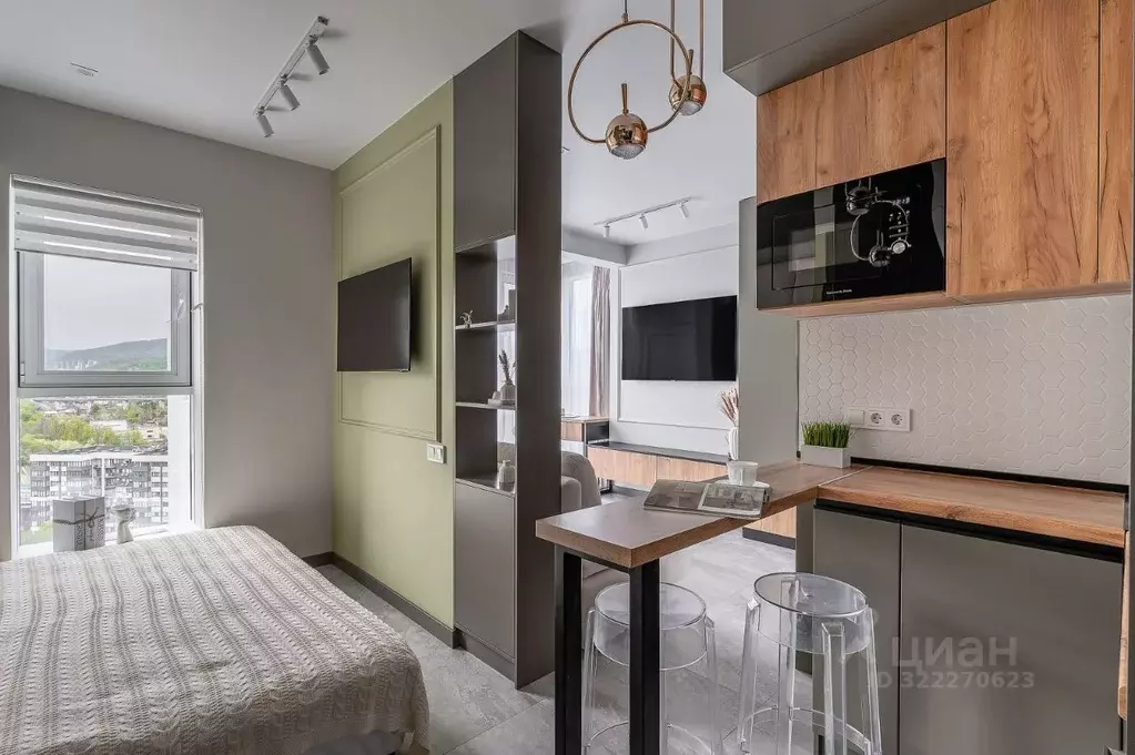 1-к кв. Краснодарский край, Сочи Бытха мкр, ул. Ясногорская, 16/6к1 ... - Фото 1