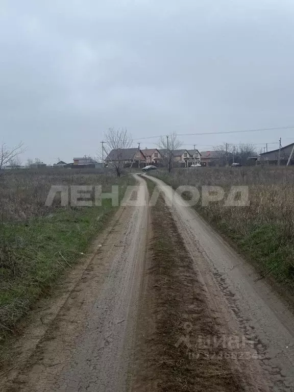 Участок в Ростовская область, Новочеркасск ул. Усадебная (5.6 сот.) - Фото 2