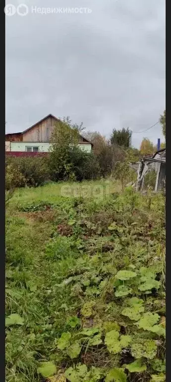 Участок в село Бизино, Дорожная улица (6 м) - Фото 0