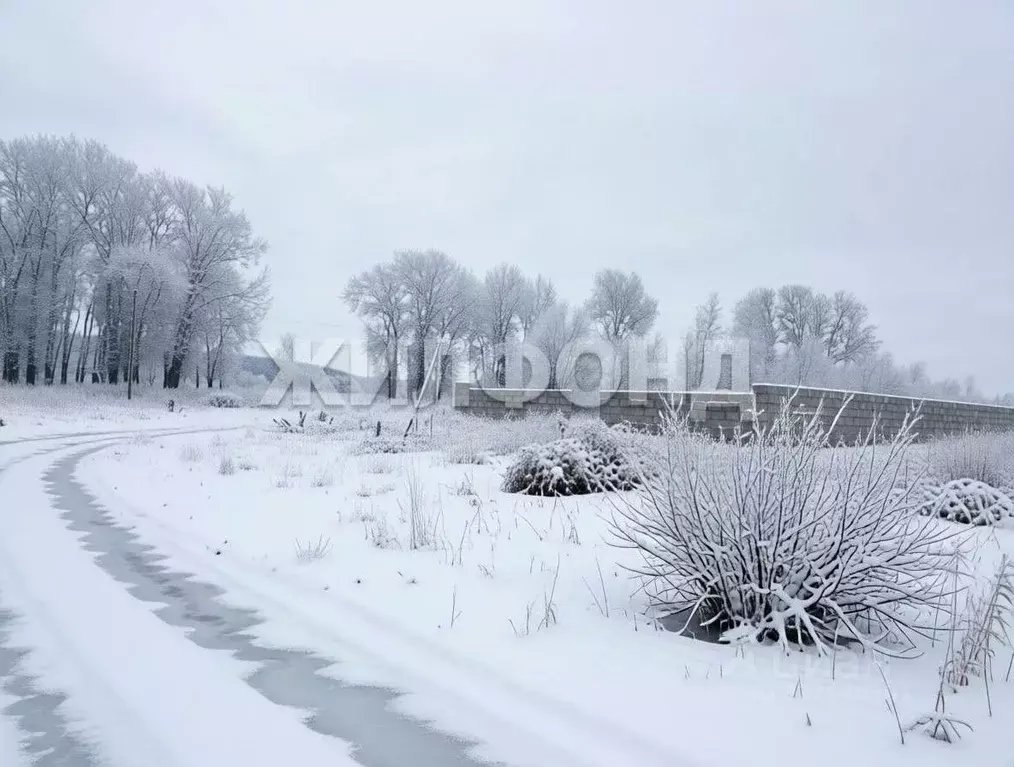 Участок в Новосибирская область, Новосибирский район, Кубовинский ... - Фото 2