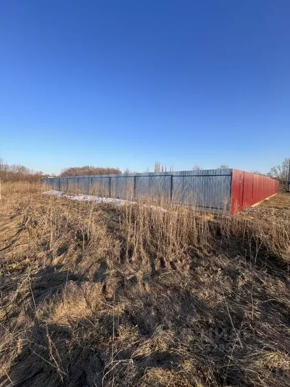 Участок в Воронежская область, Новоусманский район, с. Орлово ул. ... - Фото 1