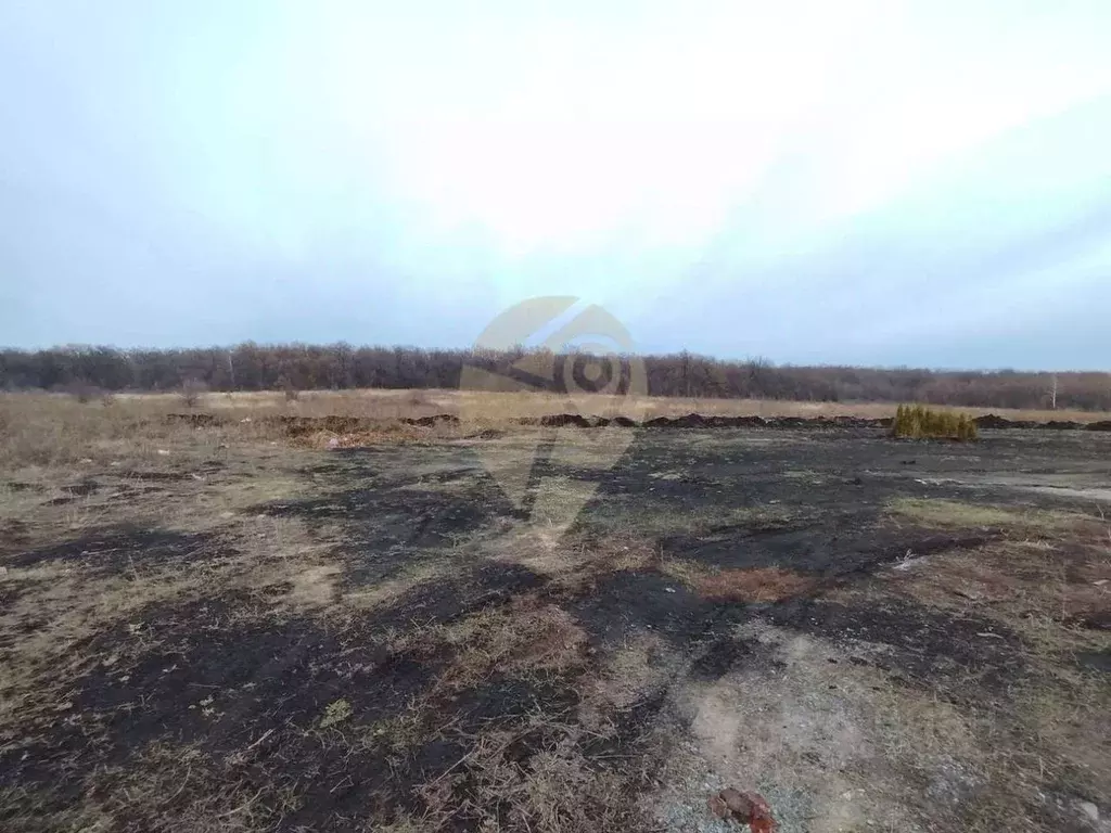 Участок в Белгородская область, Старооскольский городской округ, с. ... - Фото 1