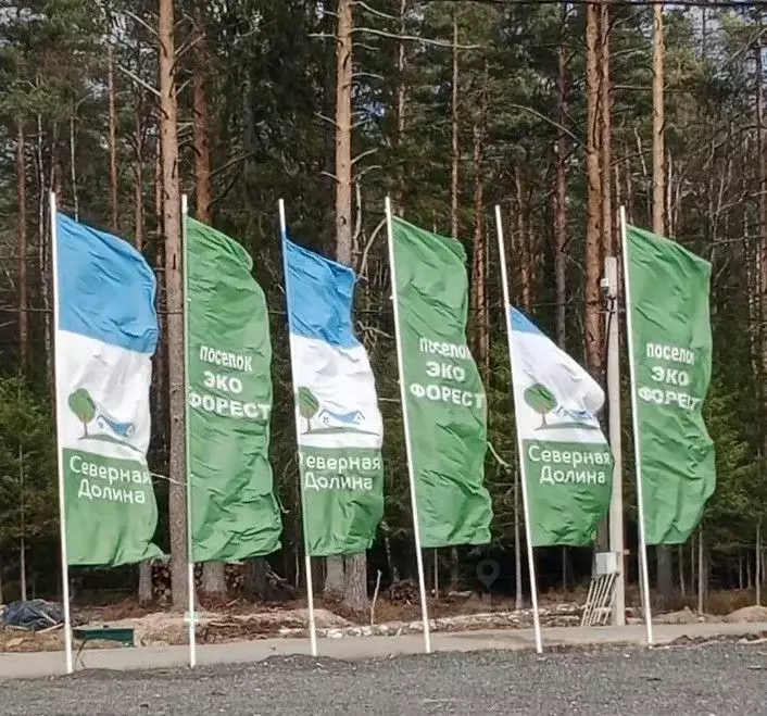 Участок в Ленинградская область, Всеволожский район, Токсовское ... - Фото 2