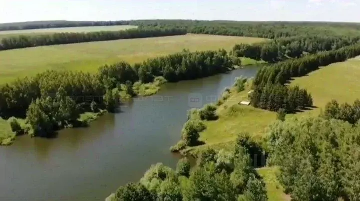 Участок в Татарстан, Арский район, Янга-Салское с/пос, д. Каенсар  ... - Фото 1