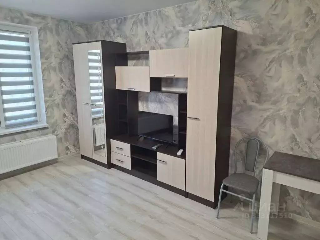 Студия Московская область, Балашиха ул. Дмитриева, 3 (24.0 м) - Фото 2