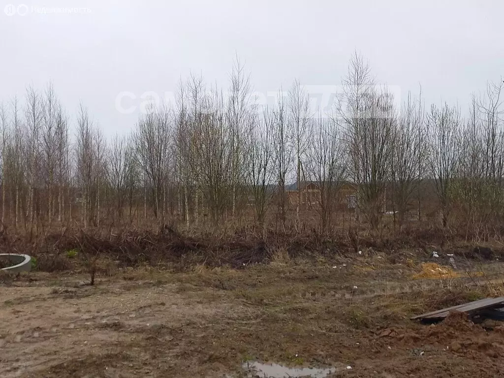 Участок в Вологодская область, рабочий посёлок Шексна (17.3 м) - Фото 2