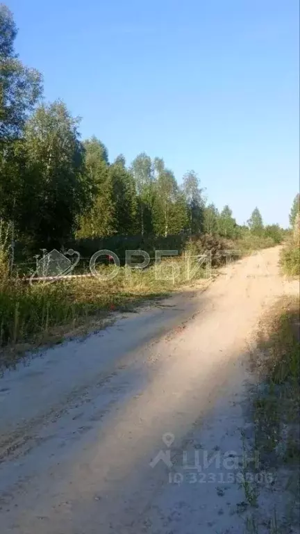 Участок в Тюменская область, Нижнетавдинский муниципальный округ, ... - Фото 2