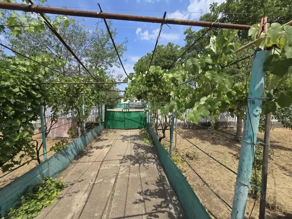 Дом в Крым, Сакский район, с. Сизовка ул. Степная (50 м) - Фото 1