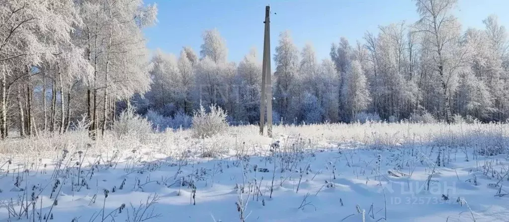 Участок в Московская область, Шатура ул. Береговая (15.0 сот.) - Фото 2
