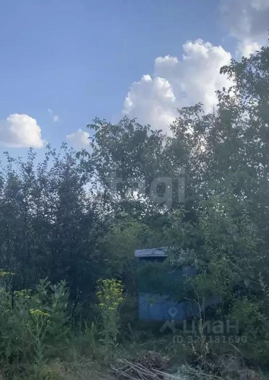 Участок в Ставропольский край, Ставрополь Кравцово садовое ... - Фото 2