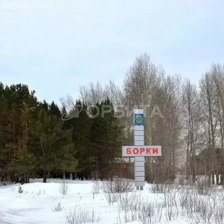 Участок в Тюменский район, село Борки (5.34 м) - Фото 1
