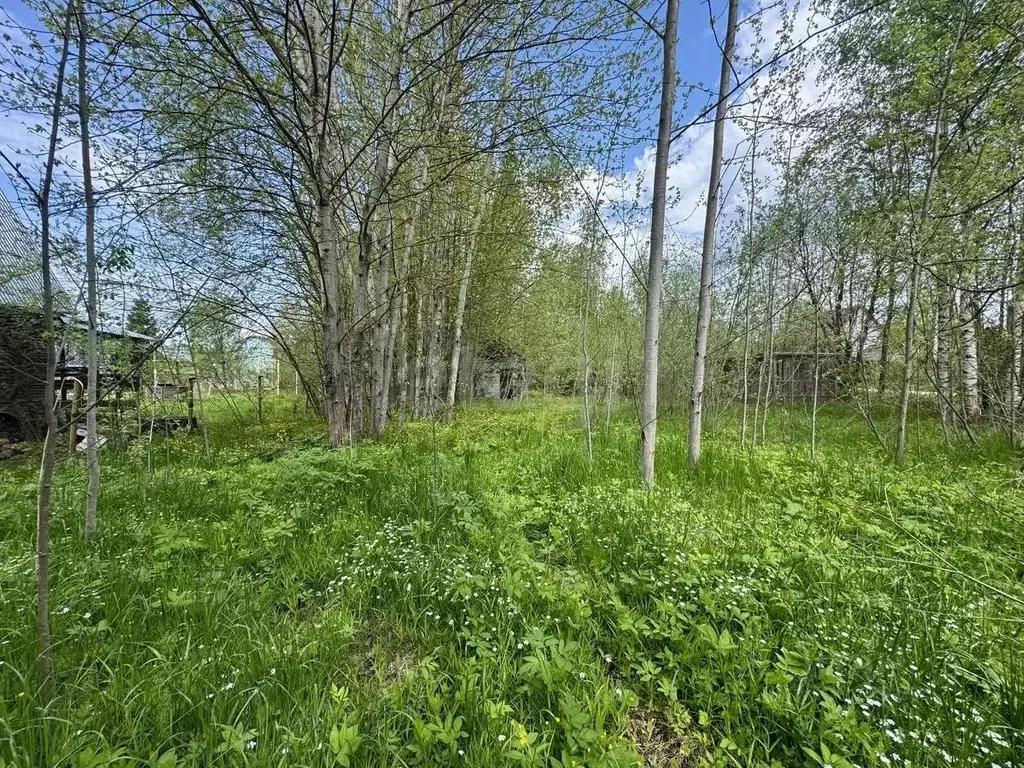 Участок в Тверская область, Кимрский муниципальный округ, Чайка ... - Фото 2