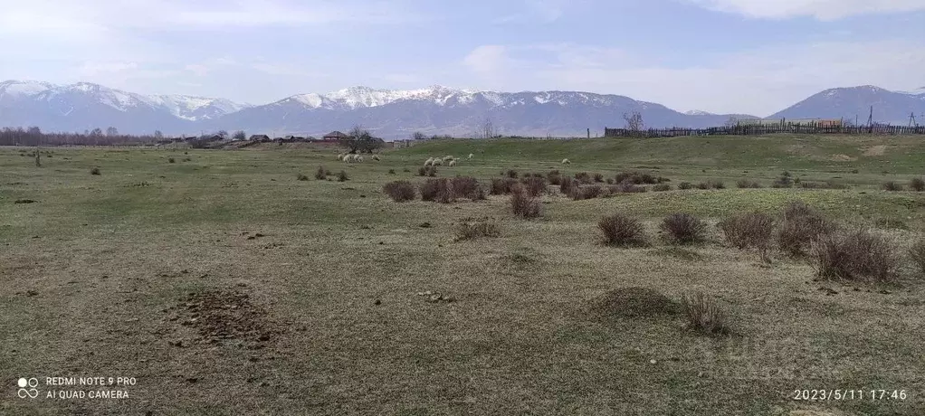 участок в алтай, усть-коксинский район, с. горбуново (20.0 сот.) - Фото 1